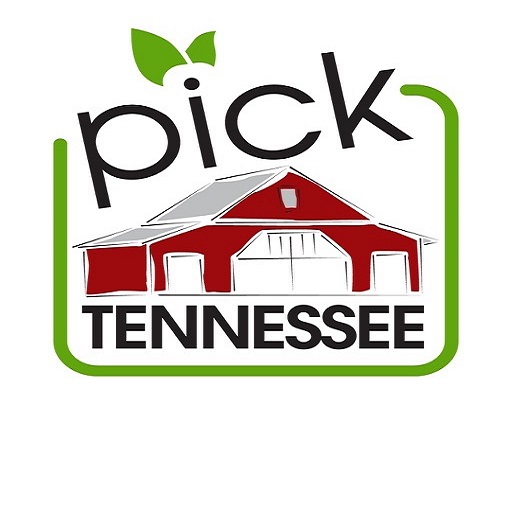 pick tennessee logo 