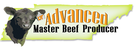 advanced master beef producer