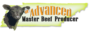 Advanced Master Beef Producer Banner